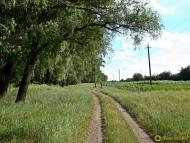 Миколаївка з panoramio.com - Миколаївка