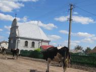 Корсів з panoramio.com