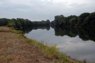 Борове з panoramio.com