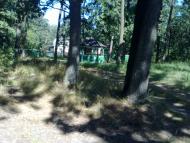 Вишняки з panoramio.com