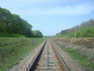 Шевченка - Останні фото