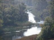 Скалева з panoramio.com