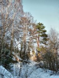 Новий Білоус з panoramio.com