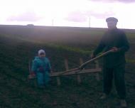 Палашівка - Останні фото