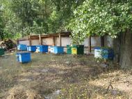 Хоцьки з panoramio.com - Хоцки
