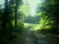 Зірка з panoramio.com