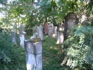 Астей з panoramio.com - Астей