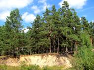 Костюхнівка з panoramio.com