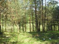 Забороль з panoramio.com