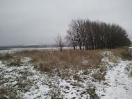 Миколаївка з panoramio.com