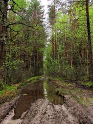 Гута-Ткачова з panoramio.com