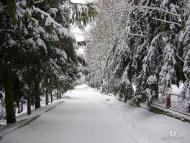 Липівка з panoramio.com