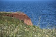 Банівка з panoramio.com