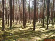 Долина з panoramio.com