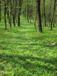 Пилипи з panoramio.com