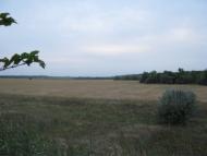 Фрунзе з panoramio.com - Фрунзе