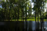 Єньків з panoramio.com