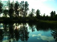 Пирогівка з panoramio.com