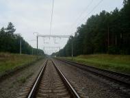 Цвітоха з panoramio.com