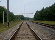 Цвітоха з panoramio.com