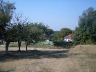 Мітлинці з panoramio.com