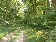 Цеперів з panoramio.com