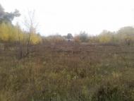 Узин з panoramio.com