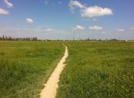 Садове з panoramio.com