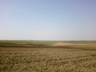 Великий Омеляник з panoramio.com