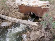 Назаровка - Последние фото