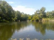 Скуносове - Останні фото