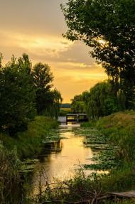 Чехівка з panoramio.com - Чеховка