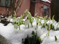 Острівок з panoramio.com