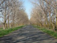 Заїченко з panoramio.com