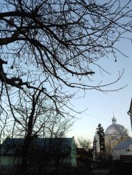 Лисиничі з panoramio.com