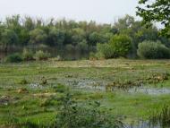 Красна Коса з panoramio.com