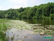 Воробіївка з panoramio.com