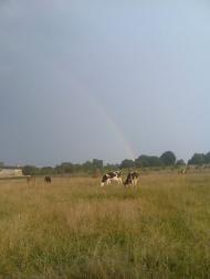 Креховичі з panoramio.com