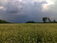 Сніжна з panoramio.com