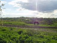 Висока Яруга з panoramio.com