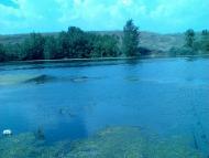 Набережне з panoramio.com