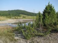 Старуня з panoramio.com