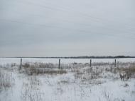 Липовий Скиток з panoramio.com