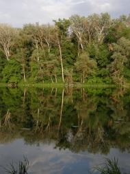 Пришиб з panoramio.com