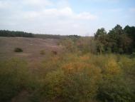 Лимани з panoramio.com