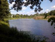 Розкопанці з panoramio.com