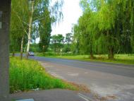 Шевченкове з panoramio.com