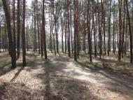 Мисайлівка з panoramio.com