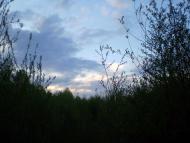 Ревне з panoramio.com