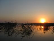 Товпижин з panoramio.com - Товпижин